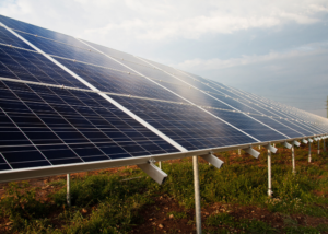 Solar Panels In Australia